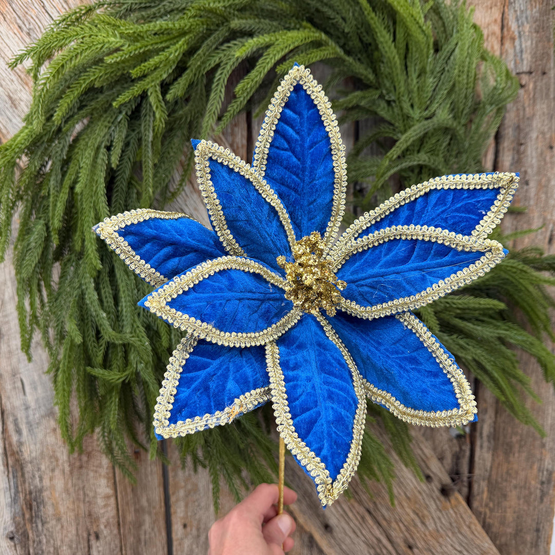 22" Royal Blue Velvet Poinsettia with Gold Trim