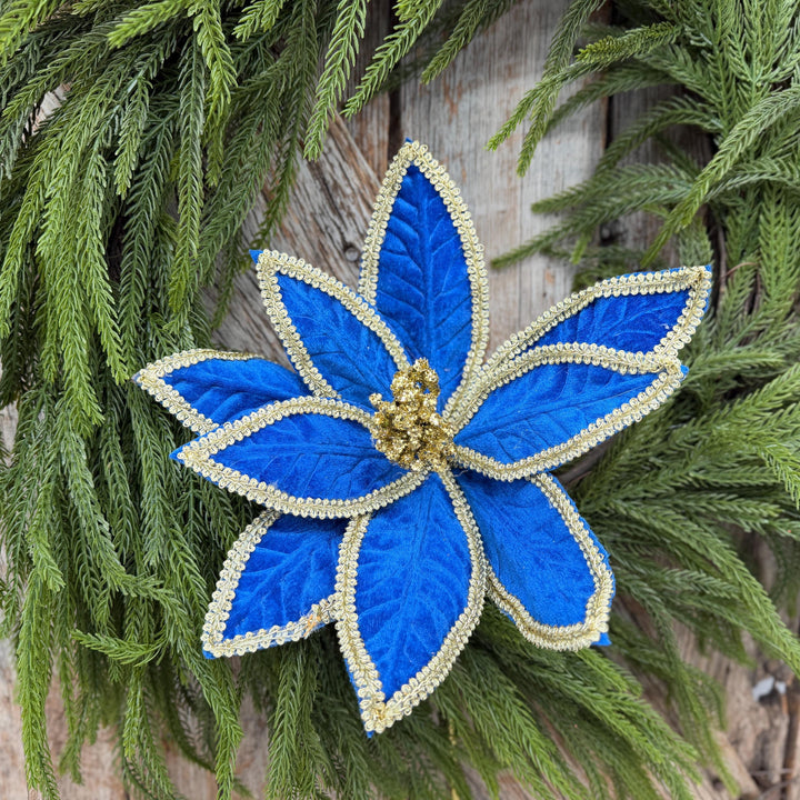 22" Royal Blue Velvet Poinsettia with Gold Trim