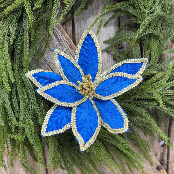 22" Royal Blue Velvet Poinsettia with Gold Trim