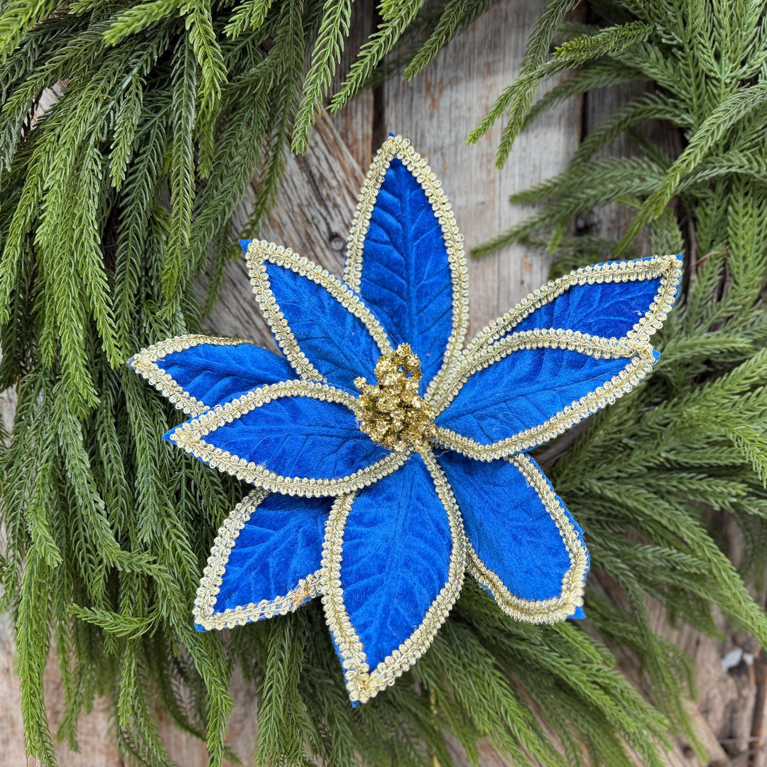 22" Royal Blue Velvet Poinsettia with Gold Trim