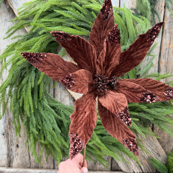 24" Chocolate Brown Velvet Poinsettia Stem