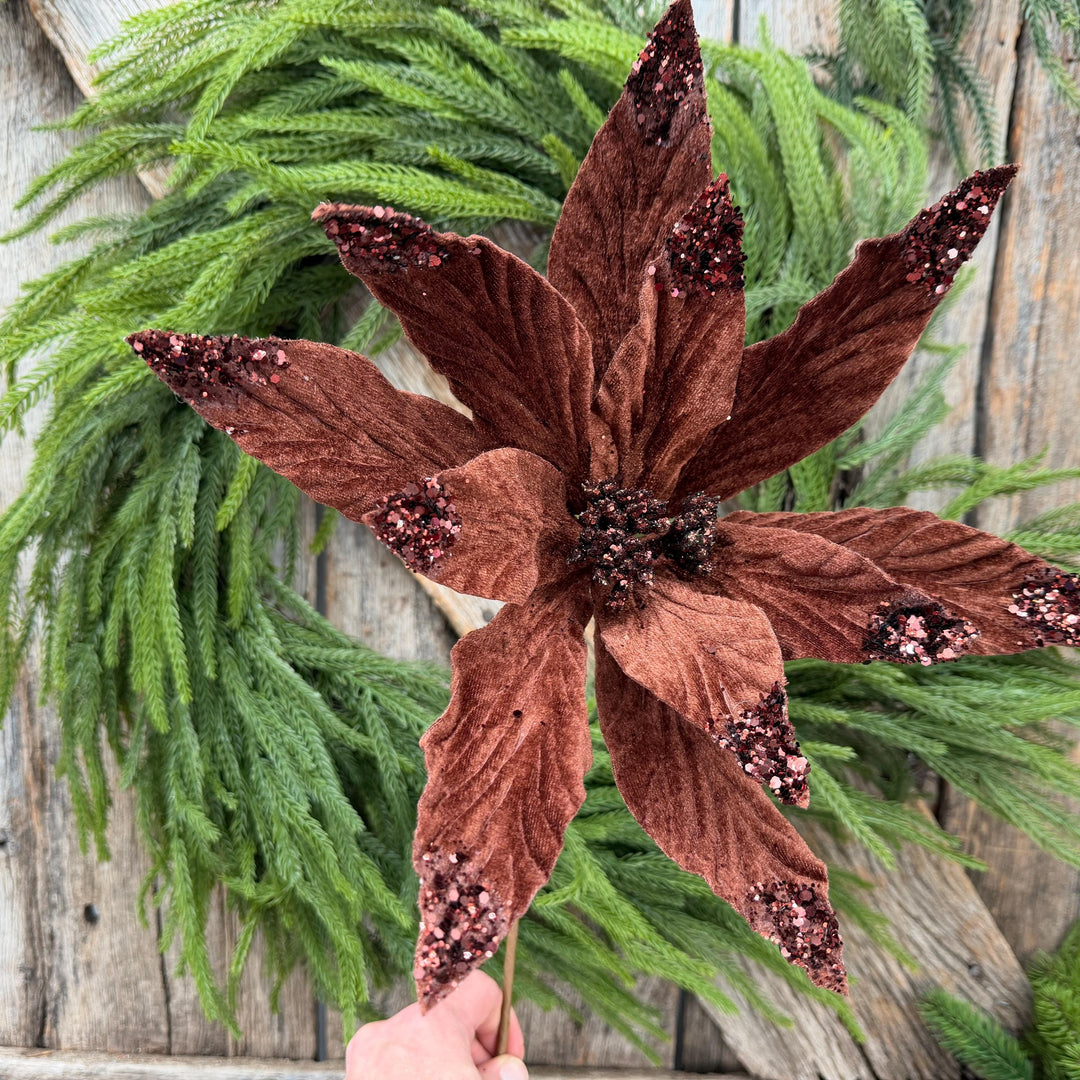 24" Chocolate Brown Velvet Poinsettia Stem