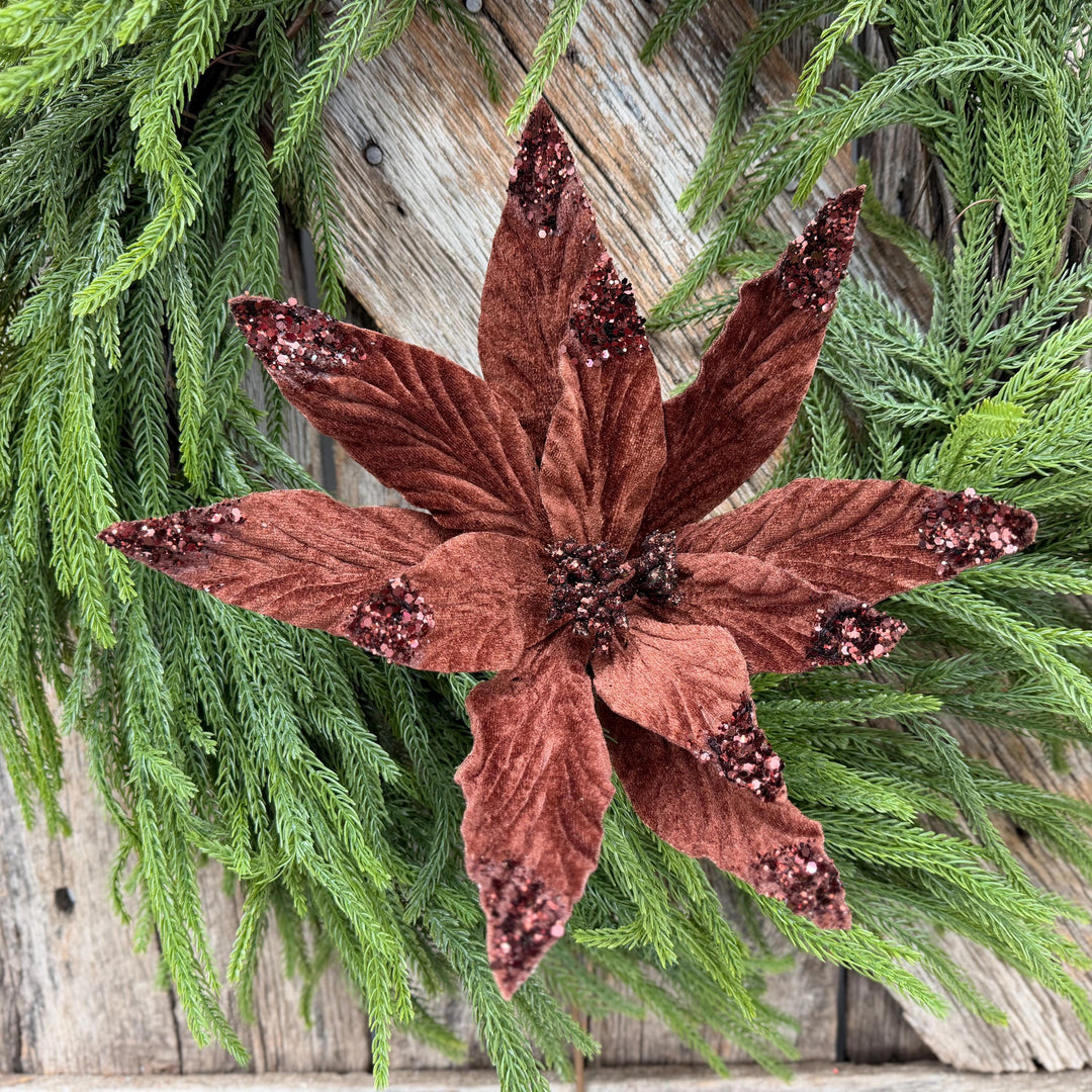 24" Chocolate Brown Velvet Poinsettia Stem