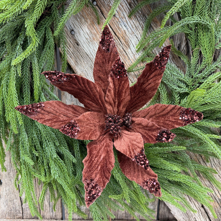 24" Chocolate Brown Velvet Poinsettia Stem