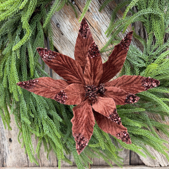 24" Chocolate Brown Velvet Poinsettia Stem