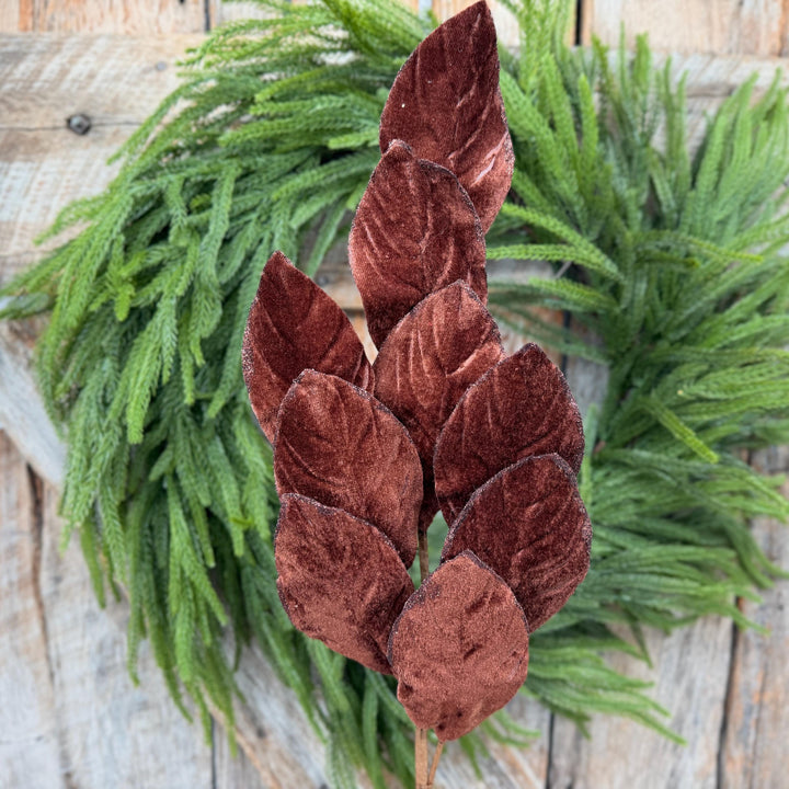 30" Chocolate Brown Velvet Magnolia Leaf Spray with Glittered Edges