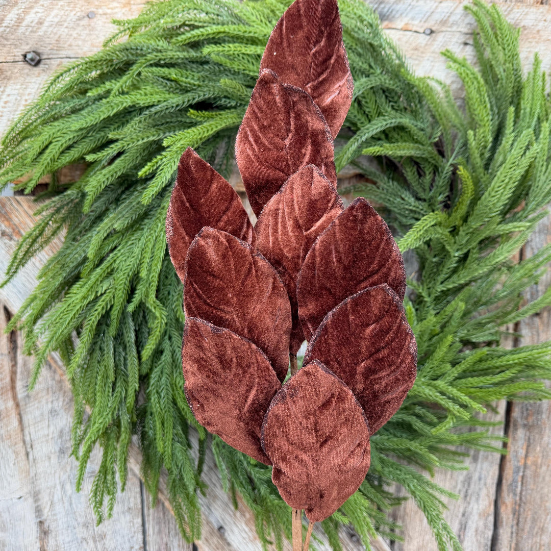 30" Chocolate Brown Velvet Magnolia Leaf Spray with Glittered Edges