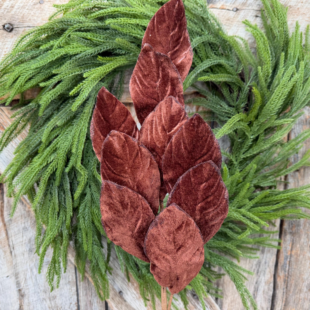 30" Chocolate Brown Velvet Magnolia Leaf Spray with Glittered Edges