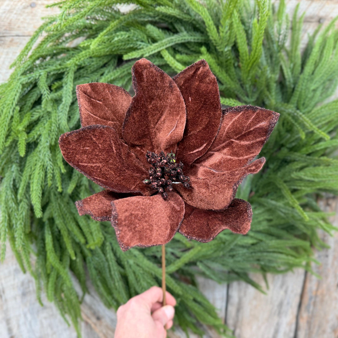 22" Chocolate Brown Velvet Poinsettia Stem