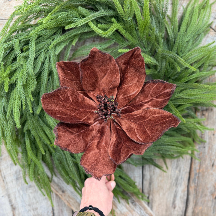 22" Chocolate Brown Velvet Poinsettia Stem
