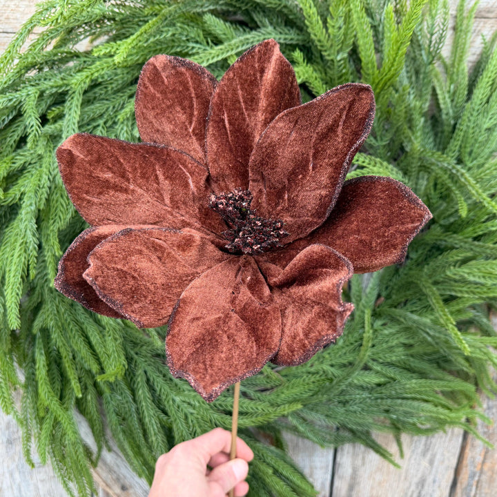 22" Chocolate Brown Velvet Poinsettia Stem