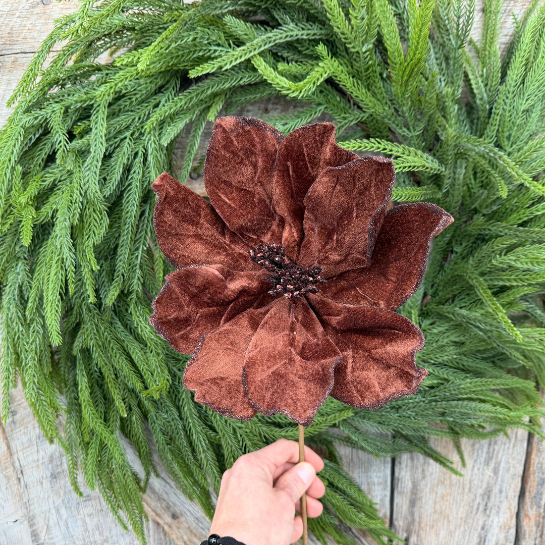 22" Chocolate Brown Velvet Poinsettia Stem