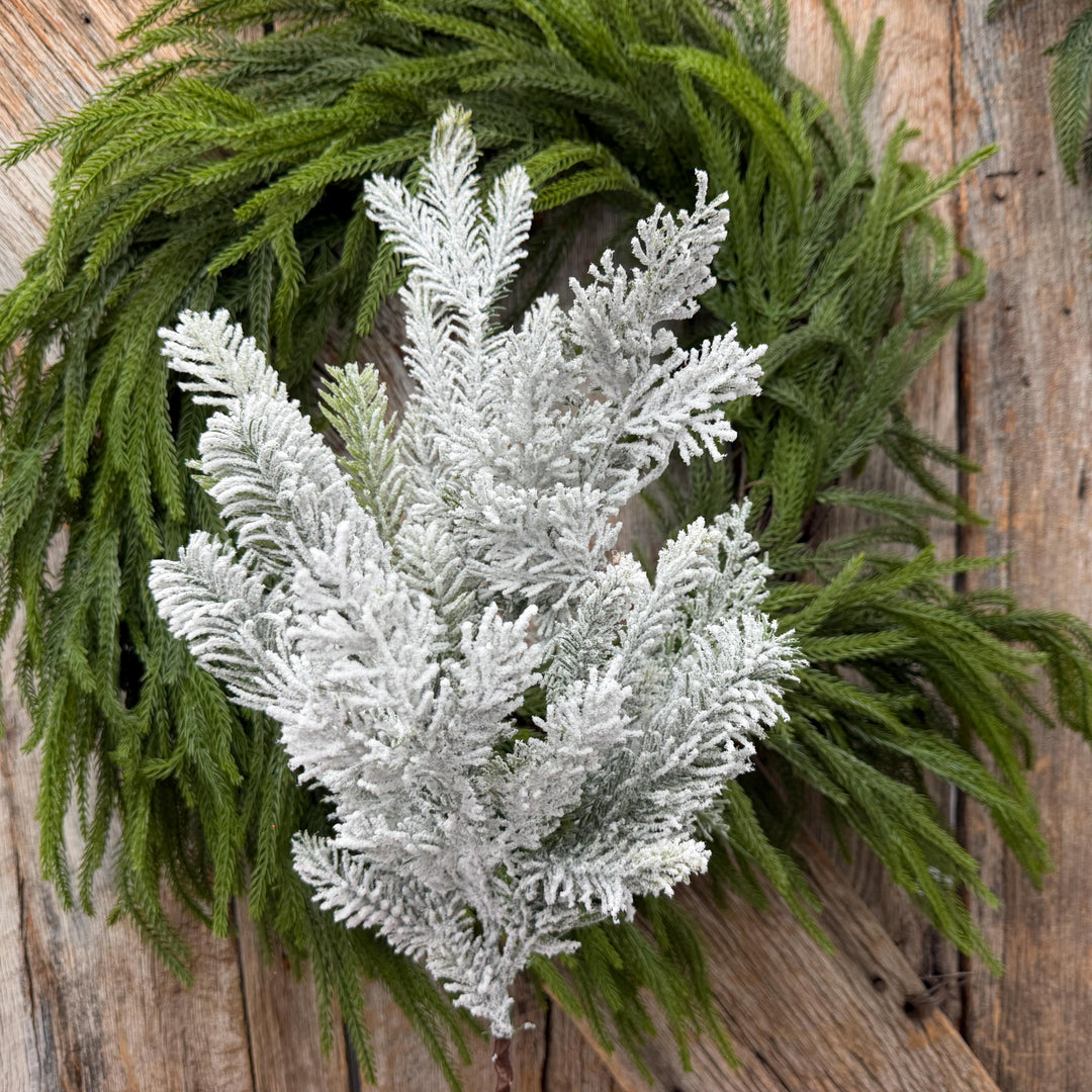 24" Snow Flocked Swiss Pine Spray – Frosted Christmas Greenery