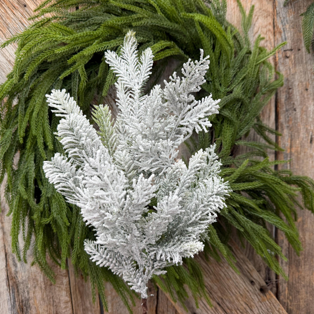 24" Snow Flocked Swiss Pine Spray – Frosted Christmas Greenery