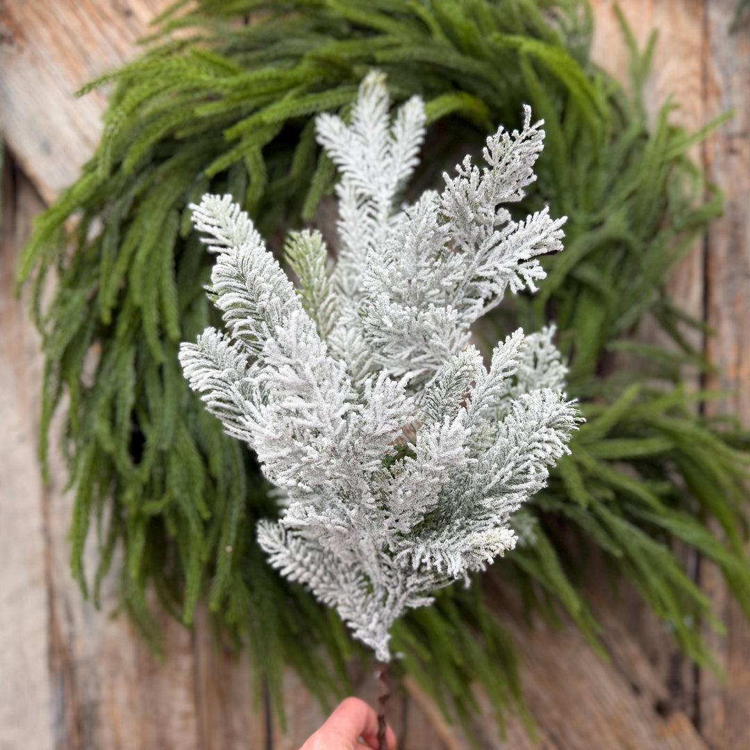 24" Snow Flocked Swiss Pine Spray – Frosted Christmas Greenery