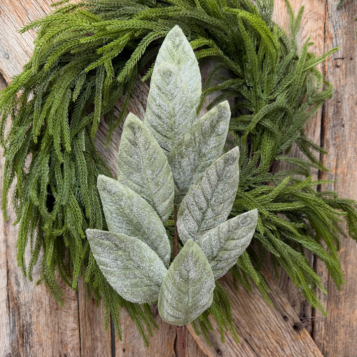 28" Frosted Green Magnolia Leaf Spray – Christmas Greenery