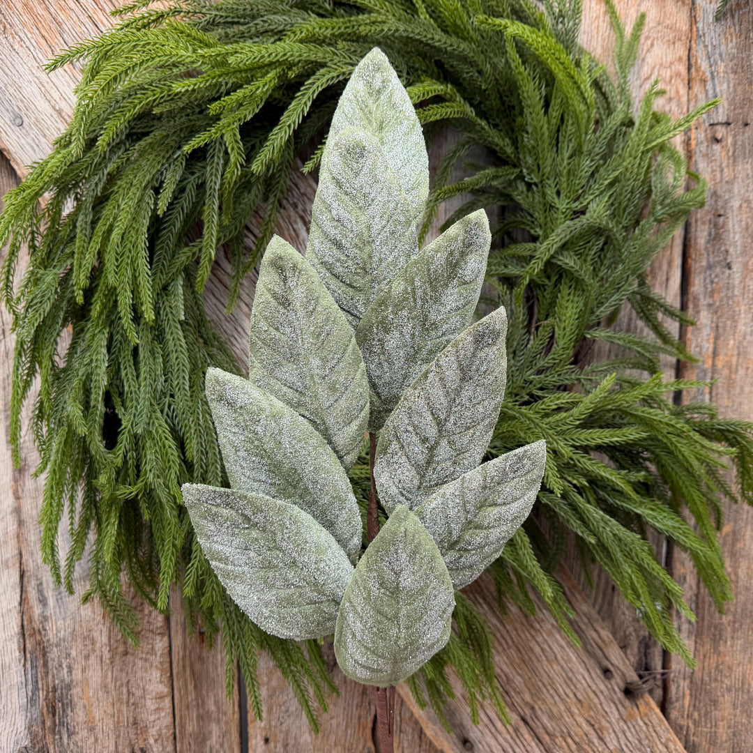 28" Frosted Green Magnolia Leaf Spray – Christmas Greenery