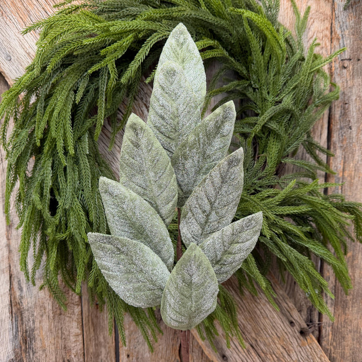 28" Frosted Green Magnolia Leaf Spray – Christmas Greenery