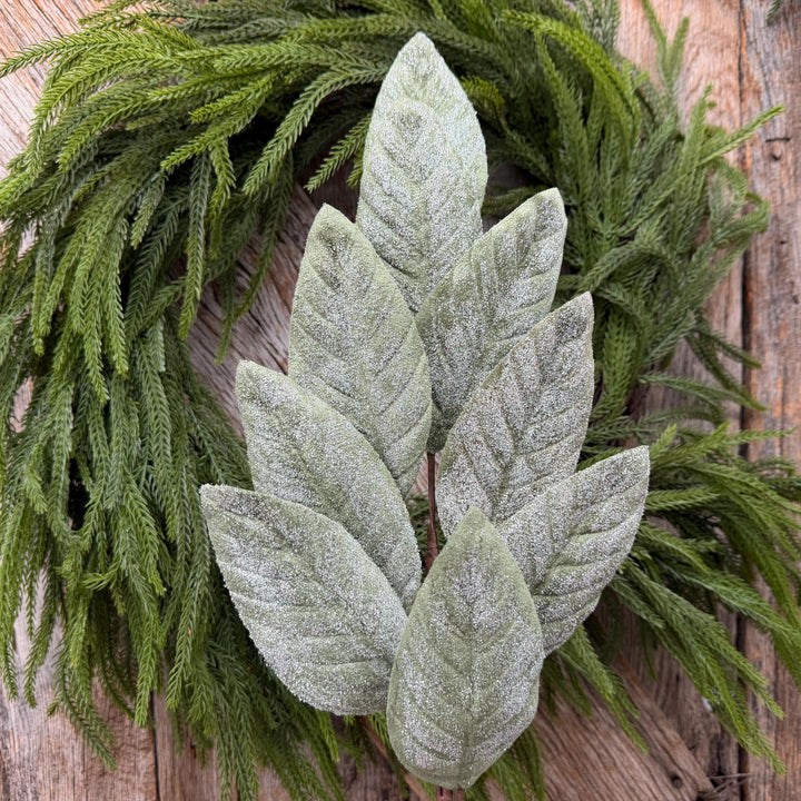 28" Frosted Green Magnolia Leaf Spray – Christmas Greenery