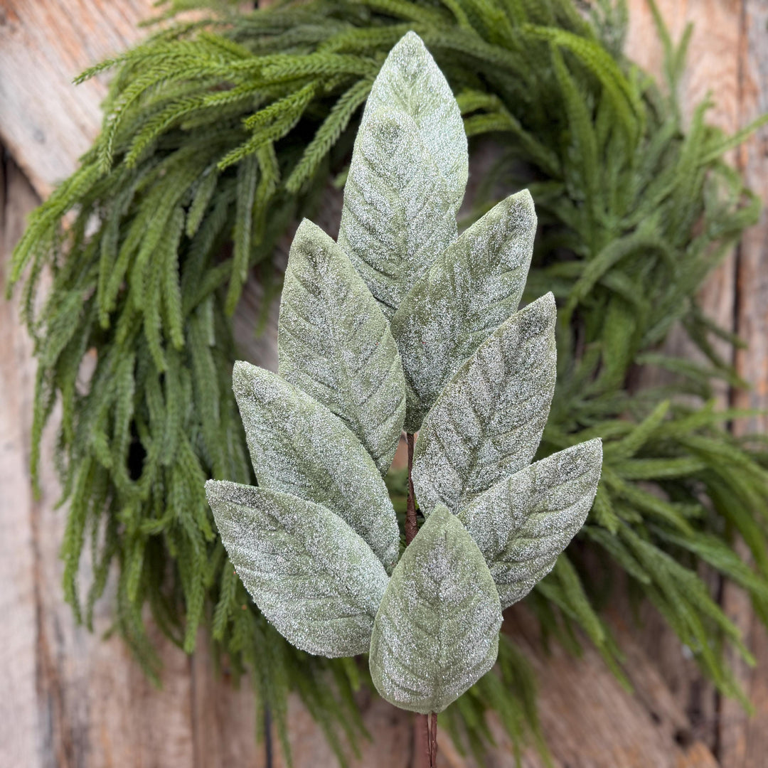 28" Frosted Green Magnolia Leaf Spray – Christmas Greenery