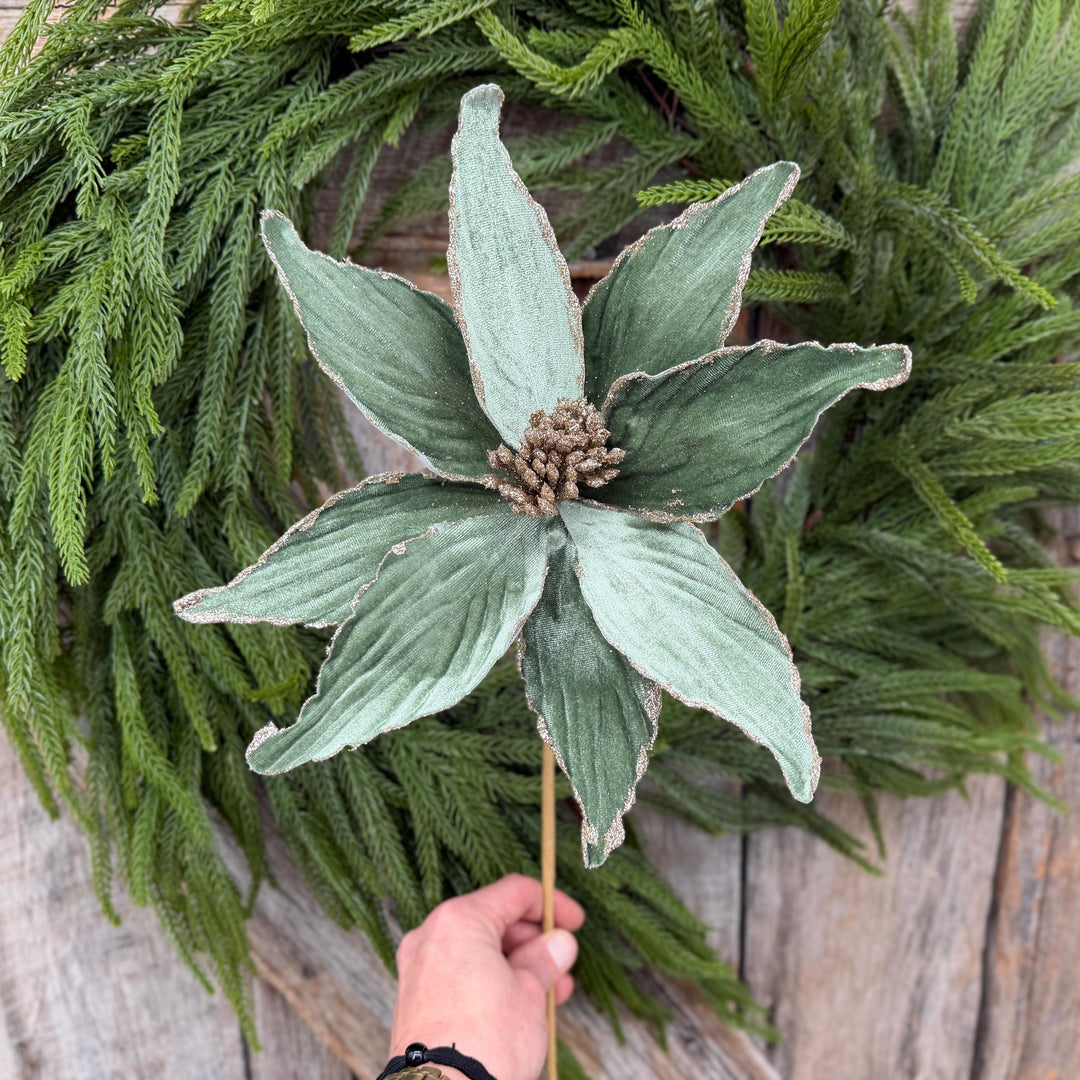 24" Sage Green Velvet Poinsettia Stem with Glitter Edges