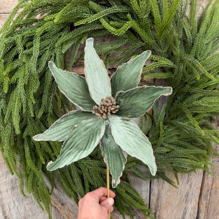 24" Sage Green Velvet Poinsettia Stem with Glitter Edges