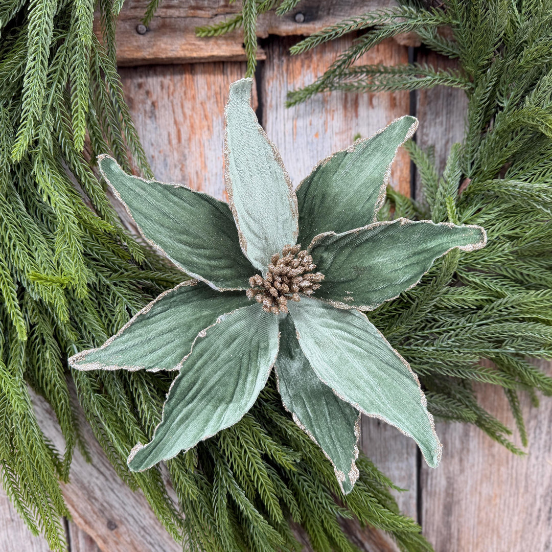24" Sage Green Velvet Poinsettia Stem with Glitter Edges