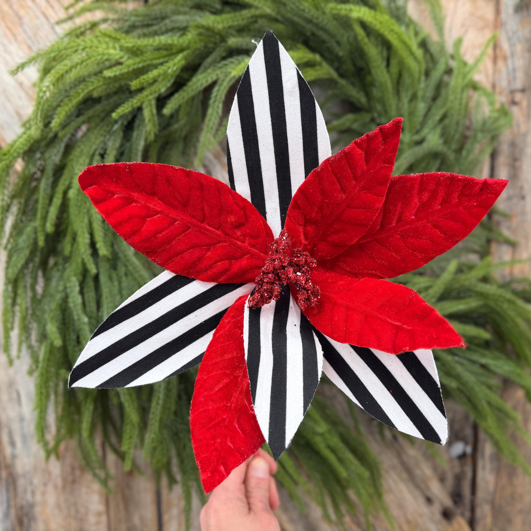 24" Red Velvet Poinsettia with Black and White Stripes