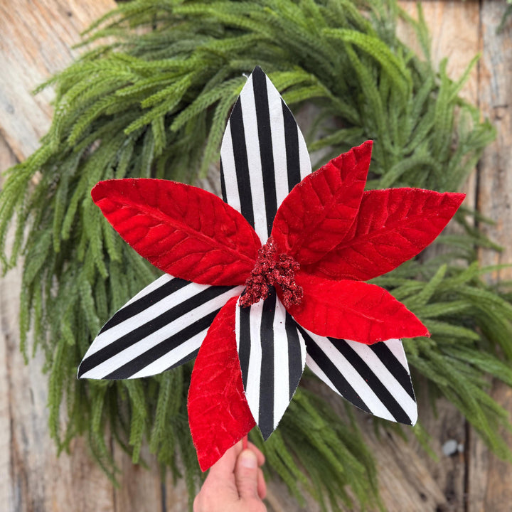 24" Red Velvet Poinsettia with Black and White Stripes