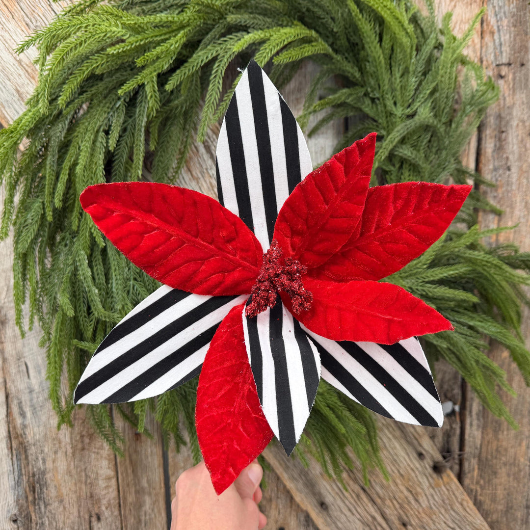 24" Red Velvet Poinsettia with Black and White Stripes