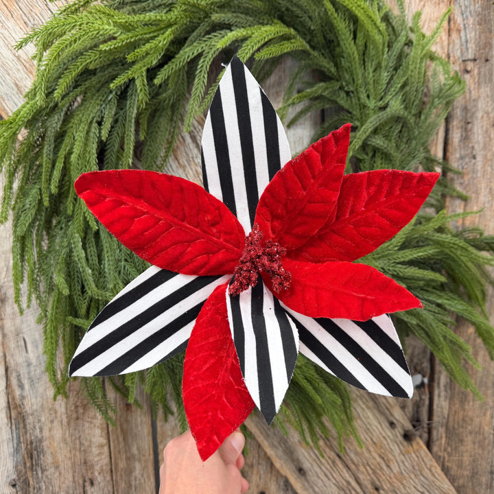 24" Red Velvet Poinsettia with Black and White Stripes