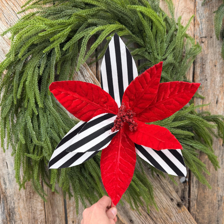 24" Red Velvet Poinsettia with Black and White Stripes