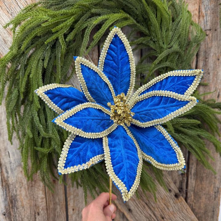 22" Royal Blue Velvet Poinsettia with Gold Trim