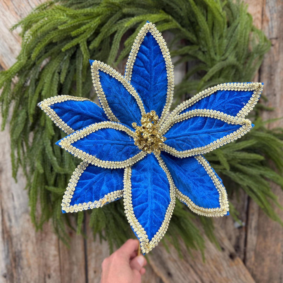 22" Royal Blue Velvet Poinsettia with Gold Trim