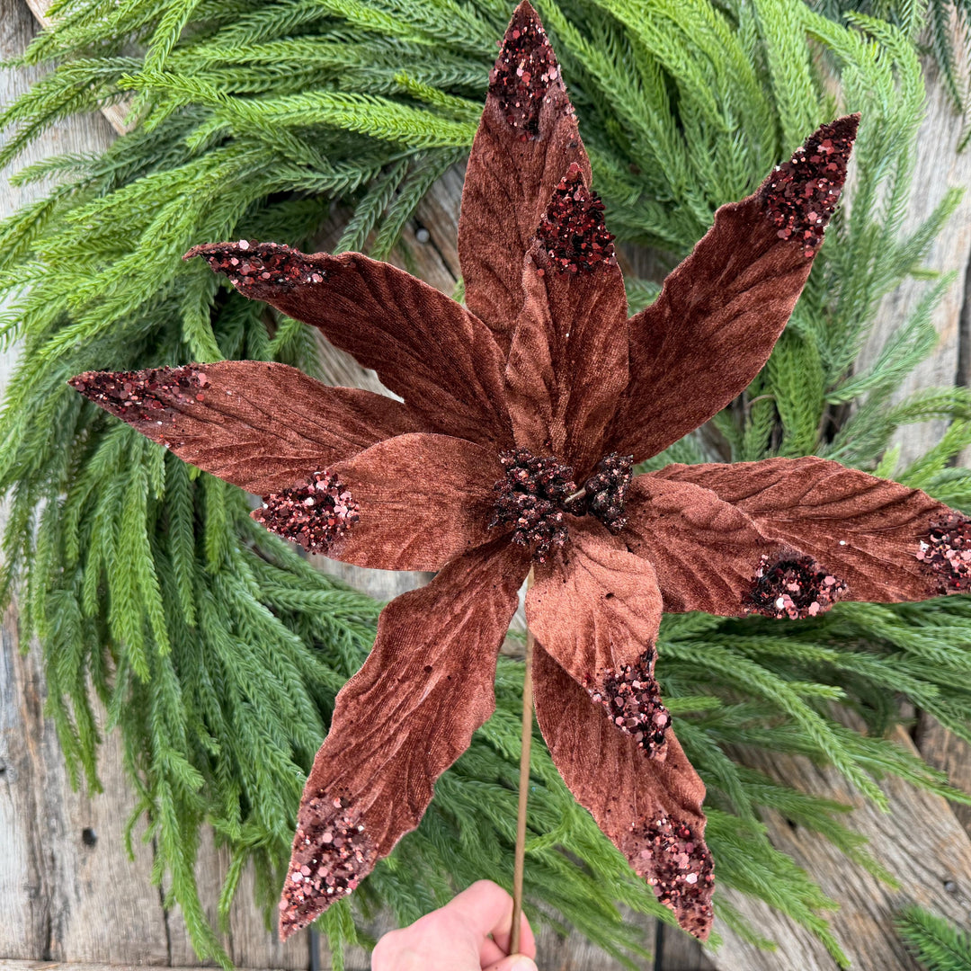 24" Chocolate Brown Velvet Poinsettia Stem