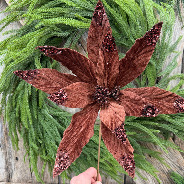 24" Chocolate Brown Velvet Poinsettia Stem