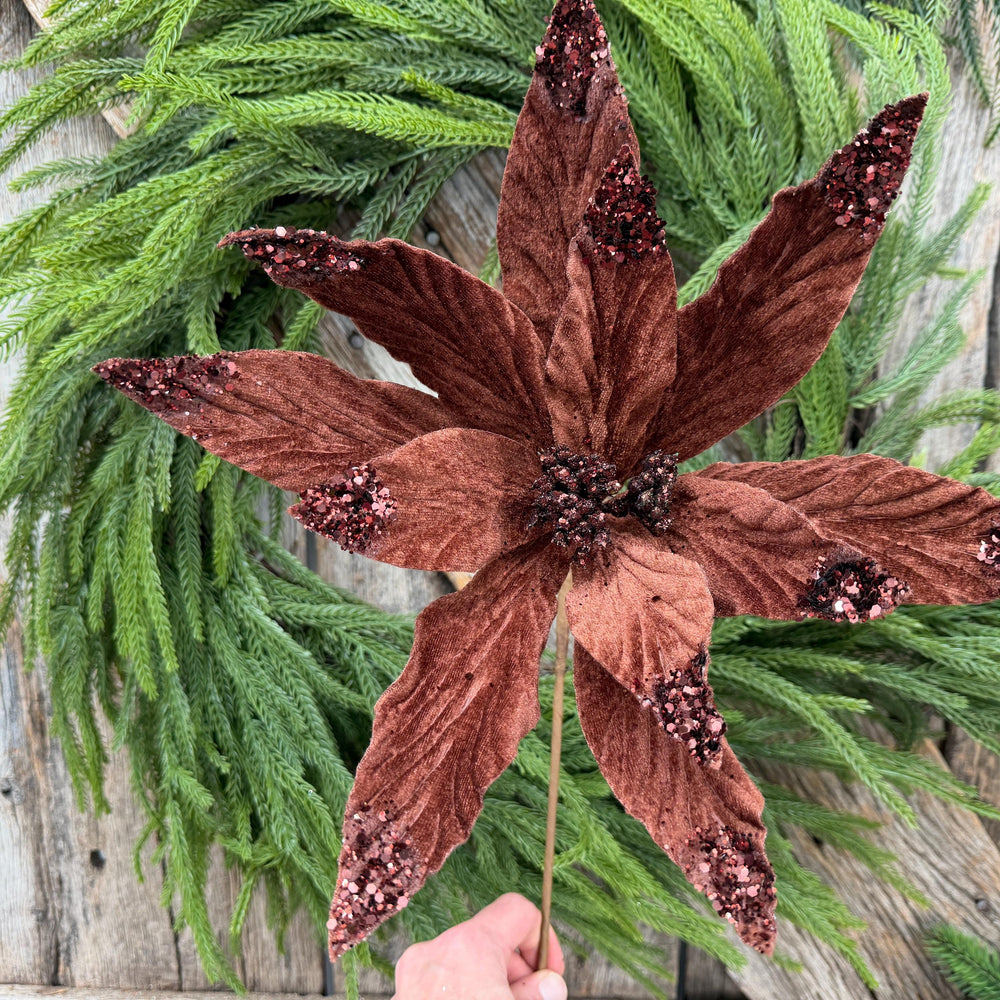 24" Chocolate Brown Velvet Poinsettia Stem