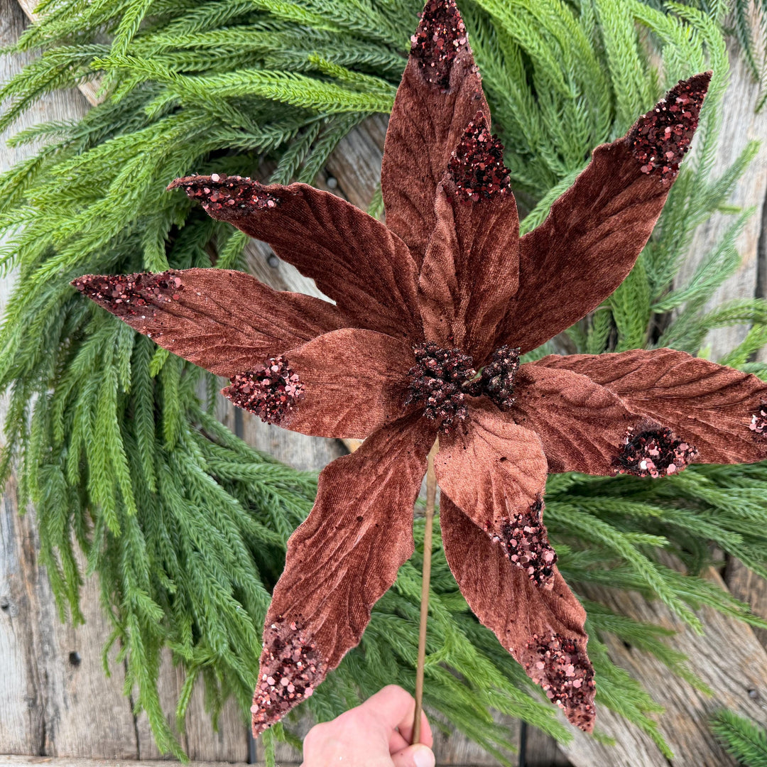 24" Chocolate Brown Velvet Poinsettia Stem