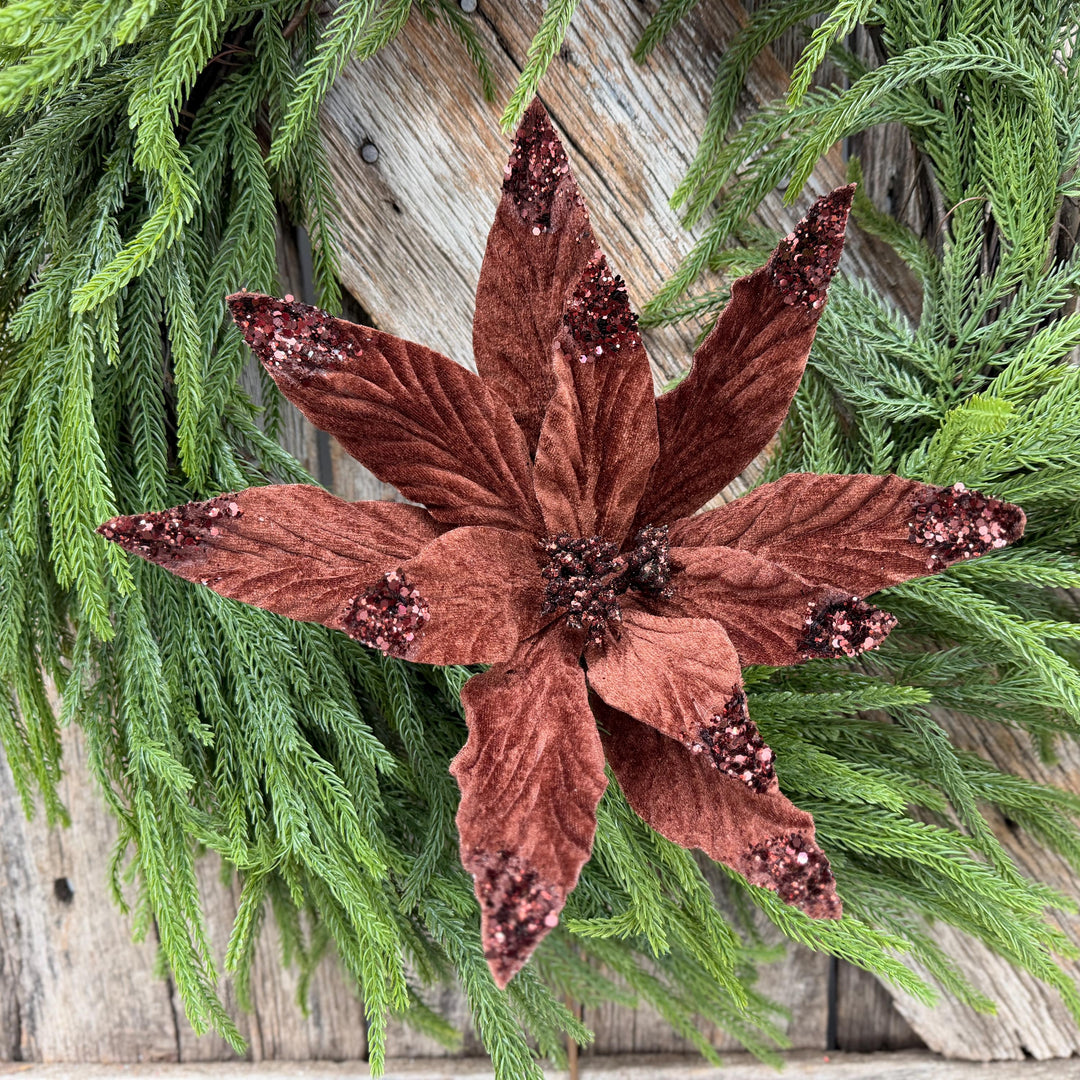 24" Chocolate Brown Velvet Poinsettia Stem