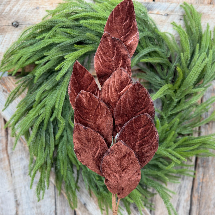 30" Chocolate Brown Velvet Magnolia Leaf Spray with Glittered Edges