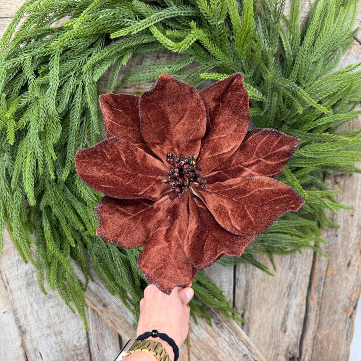 22" Chocolate Brown Velvet Poinsettia Stem