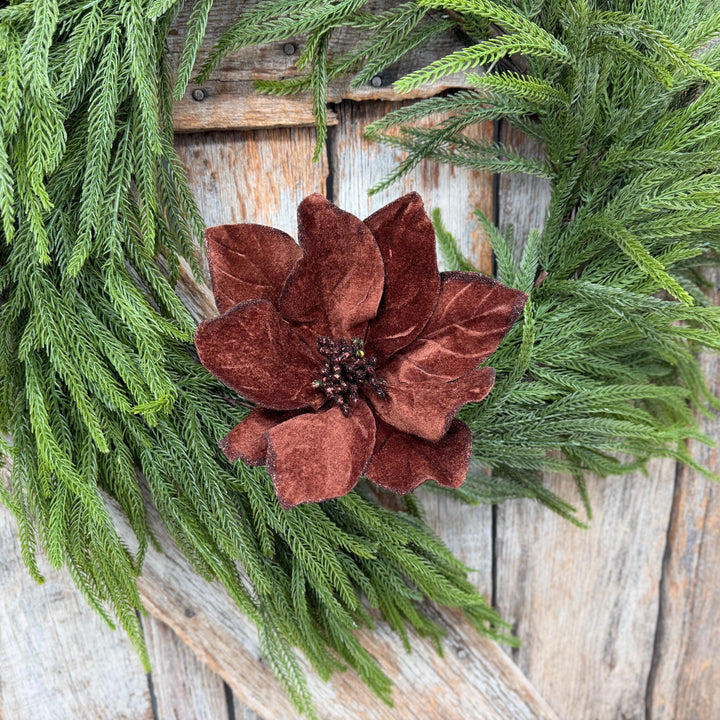 22" Chocolate Brown Velvet Poinsettia Stem