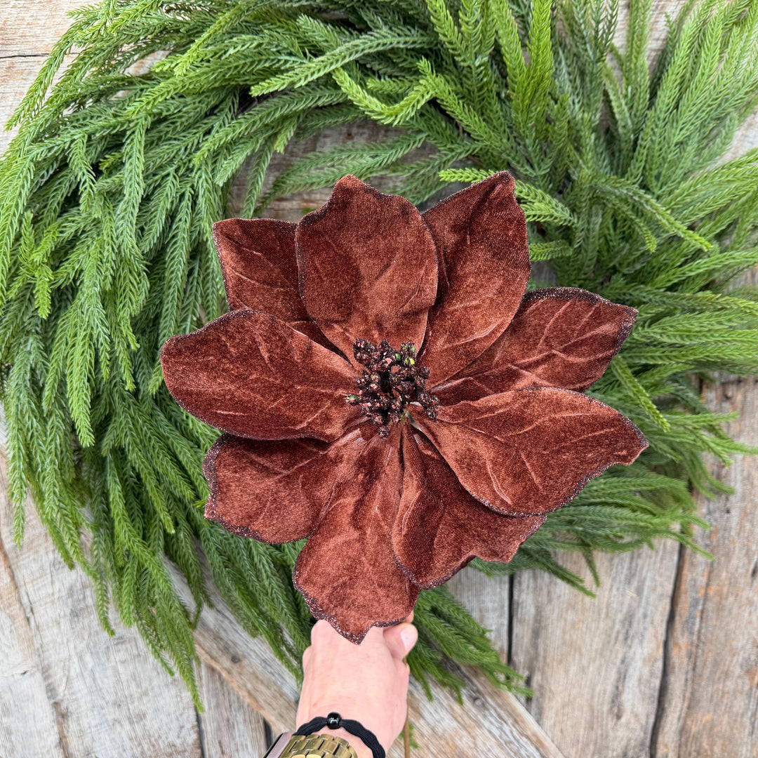 22" Chocolate Brown Velvet Poinsettia Stem