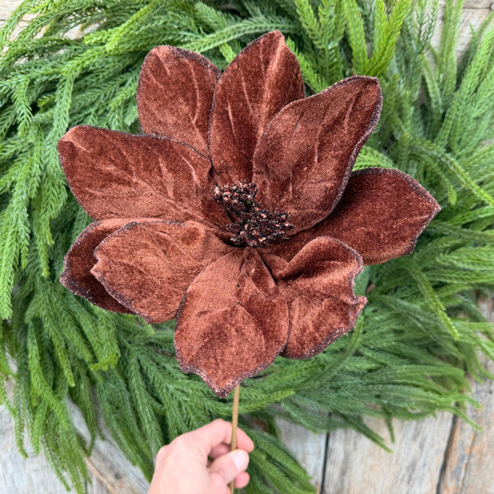 22" Chocolate Brown Velvet Poinsettia Stem