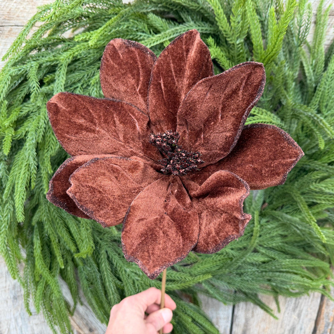 22" Chocolate Brown Velvet Poinsettia Stem