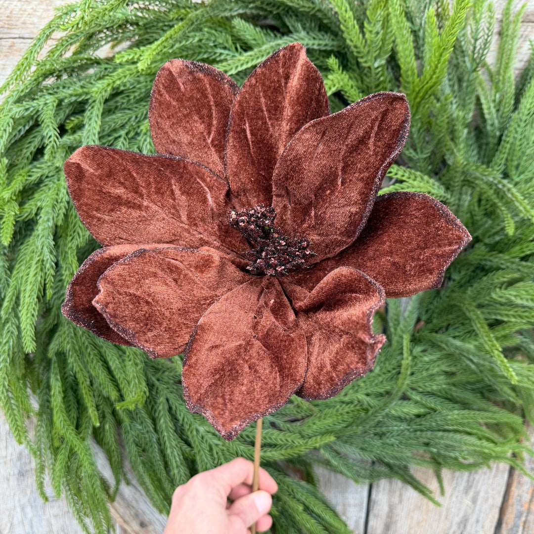 22" Chocolate Brown Velvet Poinsettia Stem