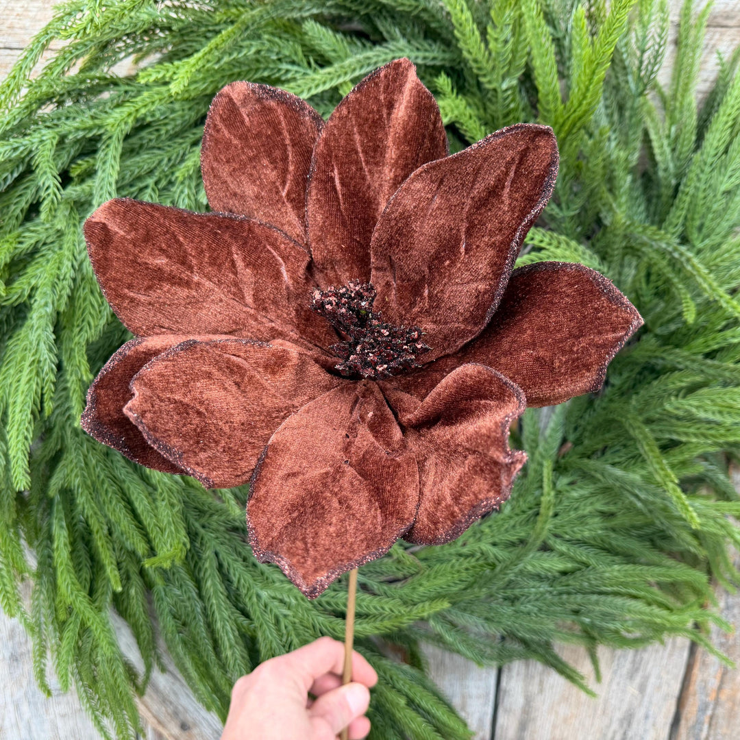 22" Chocolate Brown Velvet Poinsettia Stem