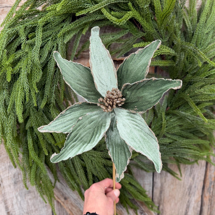 24" Sage Green Velvet Poinsettia Stem with Glitter Edges