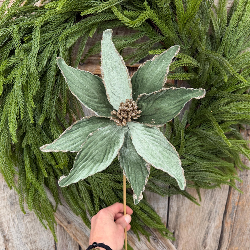 24" Sage Green Velvet Poinsettia Stem with Glitter Edges