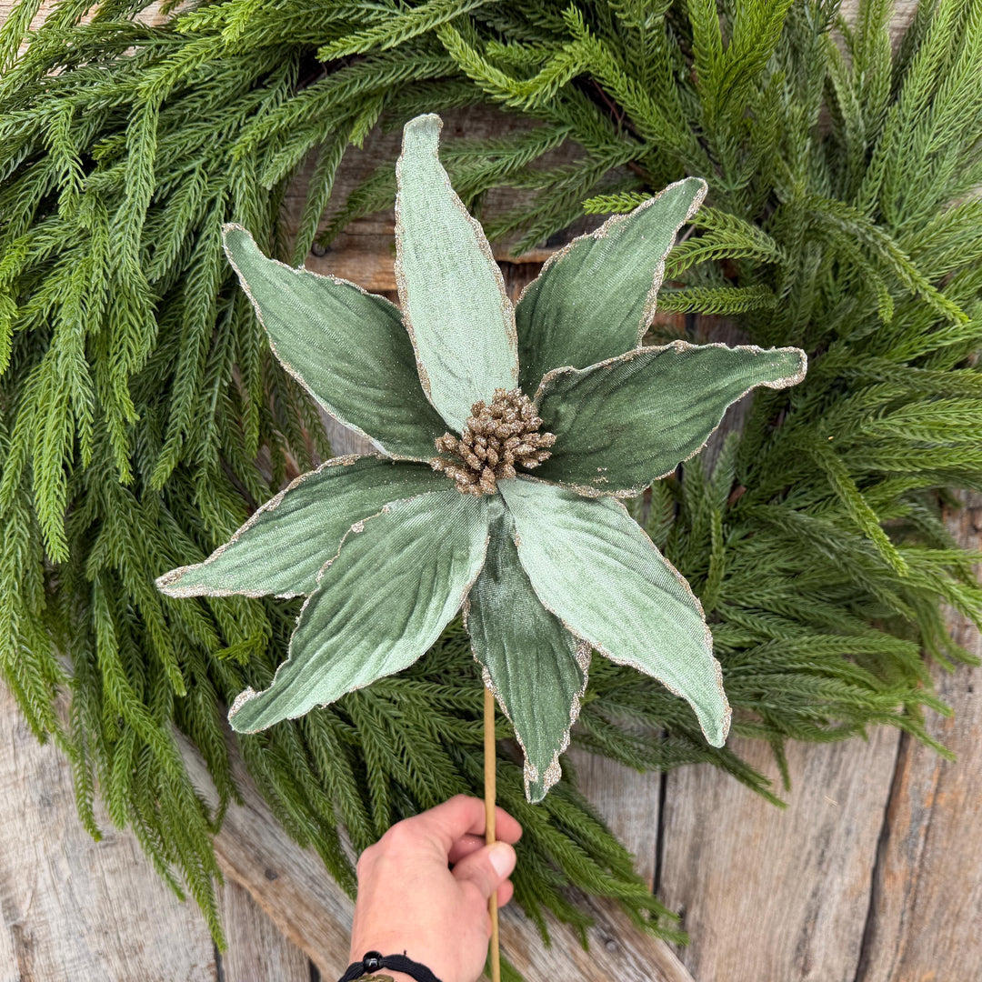 24" Sage Green Velvet Poinsettia Stem with Glitter Edges